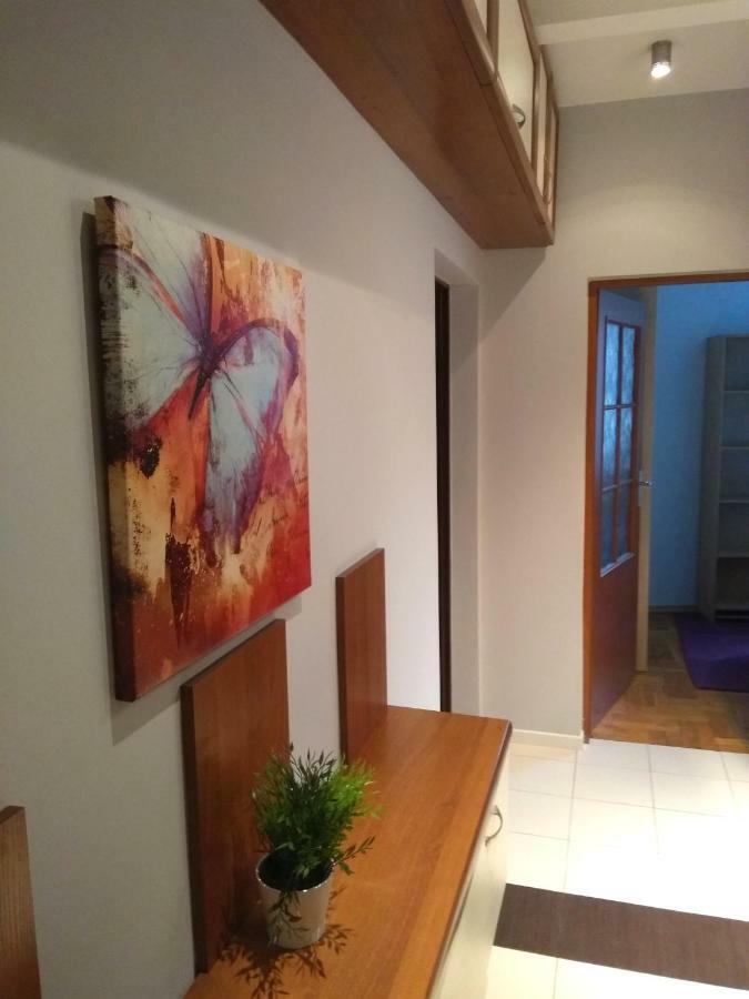 Apartament Rezedowa Apartment *